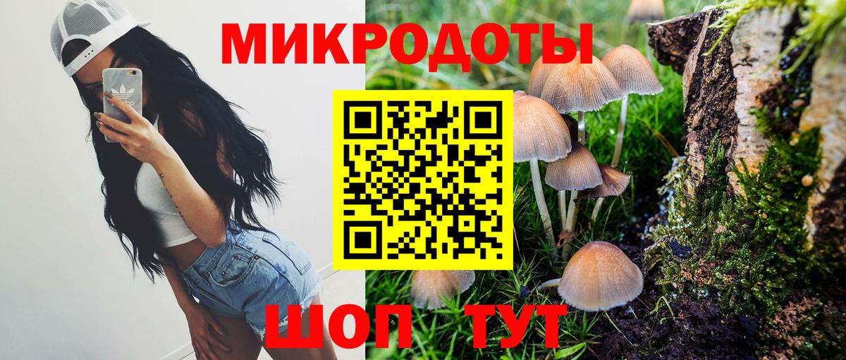 Галлюциногенные грибы прущие грибы Рузаевка